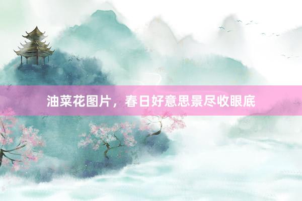 油菜花图片，春日好意思景尽收眼底