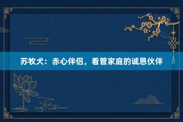 苏牧犬:赤心伴侣,看管家庭的诚恳伙伴