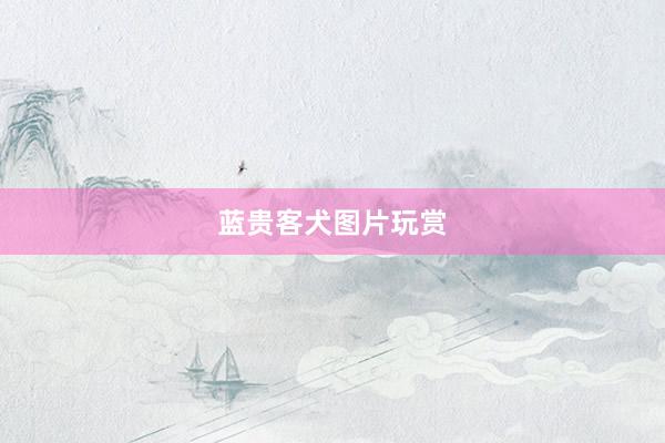 蓝贵客犬图片玩赏