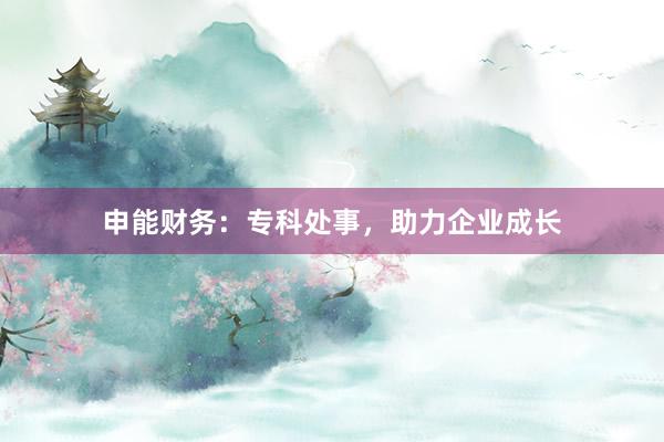 申能财务：专科处事，助力企业成长
